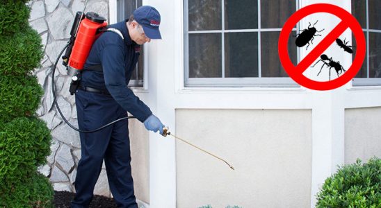 Tuşba Akrep İlaçlama böcek ilaçlama ve haşere kontrolü — ilaclama-tr.com